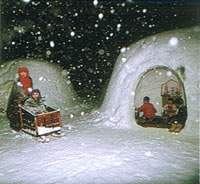 写真：横手かまくら