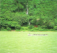 写真：最上川下り